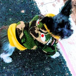 Puppy BAPE Fleece zip up jacket